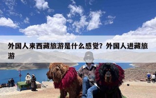 外国人来西藏旅游是什么感觉？外国人进藏旅游