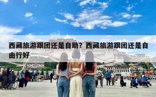 西藏旅游跟团还是自助？西藏旅游跟团还是自由行好