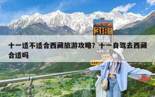十一适不适合西藏旅游攻略？十一自驾去西藏合适吗