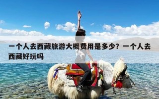 一个人去西藏旅游大概费用是多少？一个人去西藏好玩吗