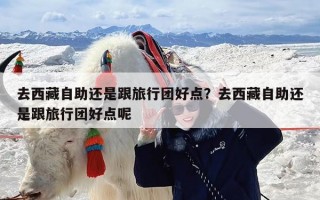 去西藏自助还是跟旅行团好点？去西藏自助还是跟旅行团好点呢