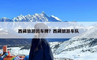 西藏旅游团车牌？西藏旅游车队