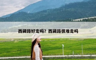 西藏路好走吗？西藏路很难走吗