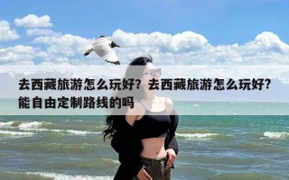 去西藏旅游怎么玩好？去西藏旅游怎么玩好?能自由定制路线的吗