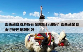 去西藏自助游好还是跟旅行团好？去西藏是自由行好还是跟团好