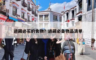 进藏必买的食物？进藏必备物品清单