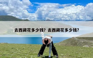 去西藏花多少钱？去西藏花多少钱?