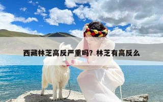 西藏林芝高反严重吗？林芝有高反么