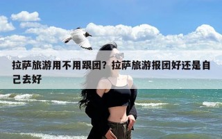 拉萨旅游用不用跟团？拉萨旅游报团好还是自己去好