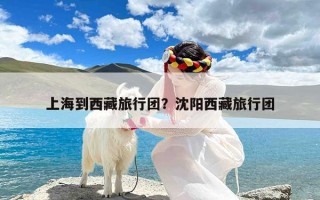 上海到西藏旅行团？沈阳西藏旅行团