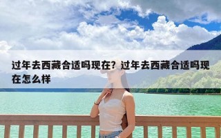 过年去西藏合适吗现在？过年去西藏合适吗现在怎么样