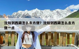 沈阳到西藏怎么去方便？沈阳到西藏怎么去方便一点