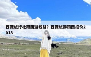 西藏旅行社跟团游线路？西藏旅游跟团报价2018