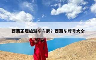 西藏正规旅游车车牌？西藏车牌号大全