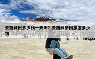 去西藏团多少钱一天啊？去西藏参团旅游多少钱