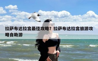 拉萨布达拉宫最佳攻略？拉萨布达拉宫旅游攻略自助游