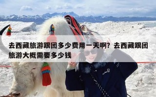 去西藏旅游跟团多少费用一天啊？去西藏跟团旅游大概需要多少钱
