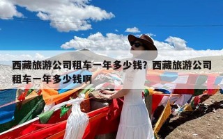 西藏旅游公司租车一年多少钱？西藏旅游公司租车一年多少钱啊