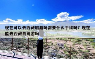 现在可以去西藏旅游吗需要什么手续吗？现在能去西藏自驾游吗