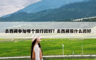 去西藏参加哪个旅行团好？去西藏报什么团好