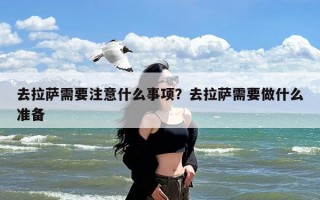 去拉萨需要注意什么事项？去拉萨需要做什么准备