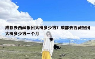 成都去西藏报团大概多少钱？成都去西藏报团大概多少钱一个月