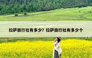 拉萨旅行社有多少？拉萨旅行社有多少个