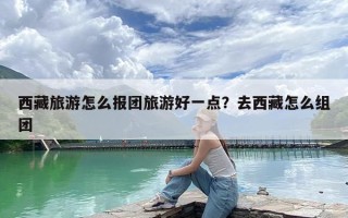 西藏旅游怎么报团旅游好一点？去西藏怎么组团