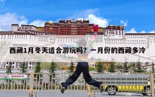 西藏1月冬天适合游玩吗？一月份的西藏多冷