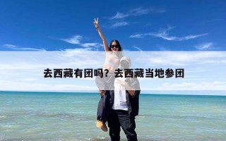 去西藏有团吗？去西藏当地参团