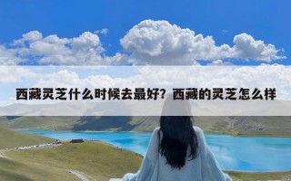 西藏灵芝什么时候去最好？西藏的灵芝怎么样