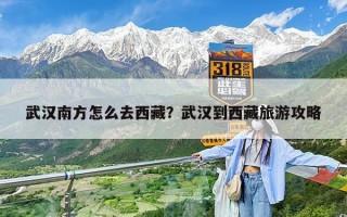 武汉南方怎么去西藏？武汉到西藏旅游攻略