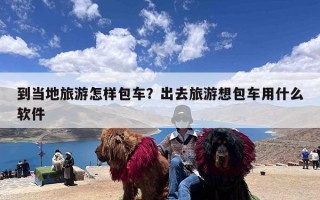 到当地旅游怎样包车？出去旅游想包车用什么软件