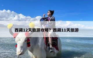 西藏12天旅游攻略？西藏11天旅游