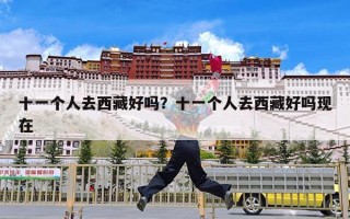 十一个人去西藏好吗？十一个人去西藏好吗现在