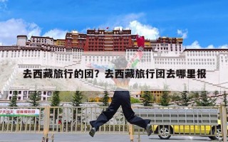 去西藏旅行的团？去西藏旅行团去哪里报