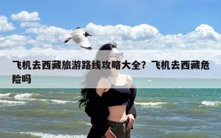 飞机去西藏旅游路线攻略大全？飞机去西藏危险吗