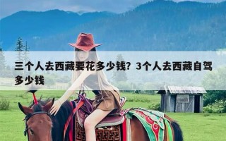 三个人去西藏要花多少钱？3个人去西藏自驾多少钱