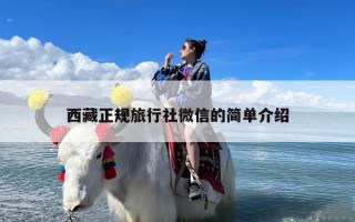 西藏正规旅行社微信的简单介绍