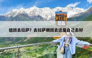 组团去拉萨？去拉萨跟团去还是自己去好