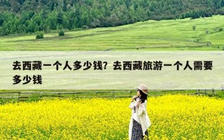 去西藏一个人多少钱？去西藏旅游一个人需要多少钱
