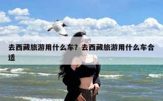 去西藏旅游用什么车？去西藏旅游用什么车合适