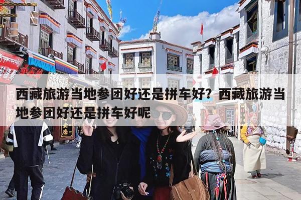 西藏旅游当地参团好还是拼车好?西藏旅游当地参团好还是拼车好呢