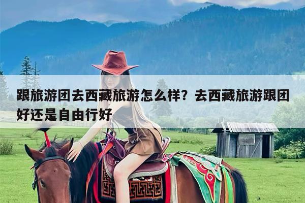 跟旅游团去西藏旅游怎么样?去西藏旅游跟团好还是自由行好