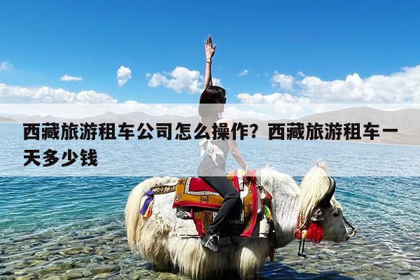 西藏旅游租车公司怎么操作?西藏旅游租车一天多少钱