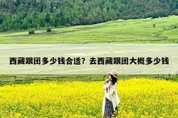 西藏跟团多少钱合适?去西藏跟团大概多少钱