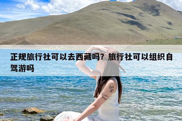 正规旅行社可以去西藏吗?旅行社可以组织自驾游吗