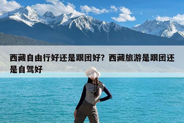 西藏自由行好还是跟团好?西藏旅游是跟团还是自驾好