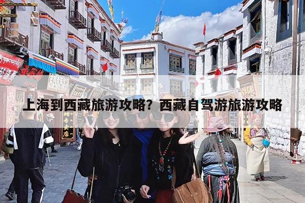 上海到西藏旅游攻略?西藏自驾游旅游攻略