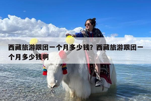 西藏旅游跟团一个月多少钱?西藏旅游跟团一个月多少钱啊